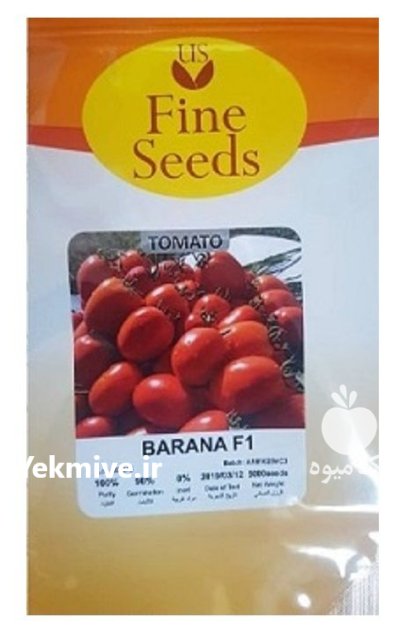 فروش بذر گوجه بارانا در گرگان در گروه خرید و فروش بذر گوجه در یکمیوه -عکس1