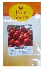 فروش بذر گوجه بارانا در گرگان در گروه خرید و فروش بذر گوجه در یکمیوه