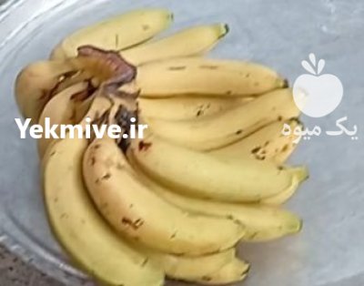 خریدار موز پاکستان در بوکان در گروه خرید و فروش موز در یکمیوه -عکس1