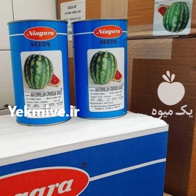 بذر هندوانه کریسمون در بردسکن در گروه خرید و فروش بذر هندوانه در یکمیوه -عکس1