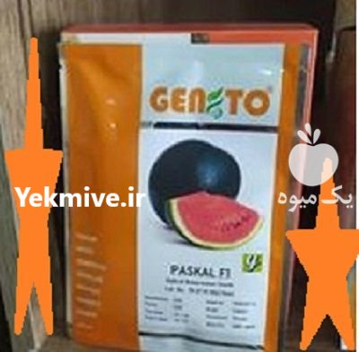 بذر هنداونه پاسکال در تایباد در گروه خرید و فروش بذر هندوانه در یکمیوه -عکس1