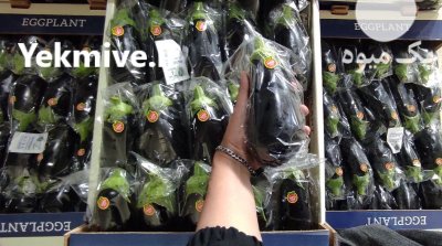 فروش بادمجان لامپی گلخانه ای سورت در یزد در گروه خرید و فروش بادمجان در یکمیوه -عکس1