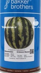 بذر هندوانه کریمسون بیکر در آستارا در گروه خرید و فروش بذر هندوانه در یکمیوه