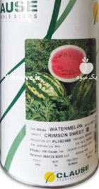 بذر هنداونه کلوز در پردیس در گروه خرید و فروش بذر هندوانه در یکمیوه