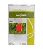 بذر هندوانه گالاتا در تیتکانلو در گروه خرید و فروش بذر هندوانه در یکمیوه