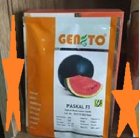 بذر هنداونه پاسکال در تایباد در گروه خرید و فروش بذر هندوانه در یکمیوه