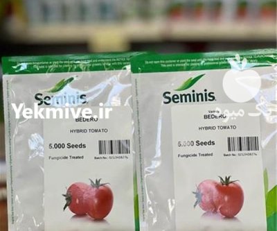 فروش بذر گوجه بدرو اصل عملکرد در شیراز در گروه خرید و فروش بذر گوجه در یکمیوه -عکس1