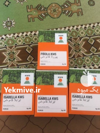 خریدار نقدی بذر چغندر در ارومیه در گروه خرید و فروش بذر چغندر در یکمیوه -عکس1