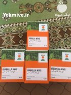 خریدار نقدی بذر چغندر در ارومیه در گروه خرید و فروش بذر چغندر در یکمیوه