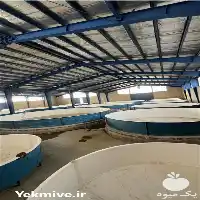 فروش ساخت استخر پیش ساخته پرورش در کرج در گروه خرید و فروش استخر کشاورزی در یکمیوه