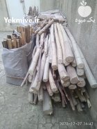 آگهی مشابه چوب عرعر در قزوین در گروه خرید و فروش چوب درخت در یکمیوه