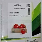 بذر گوجه برنتا با کیفیت تضمینی در کهنوج در گروه خرید و فروش بذر گوجه در یکمیوه