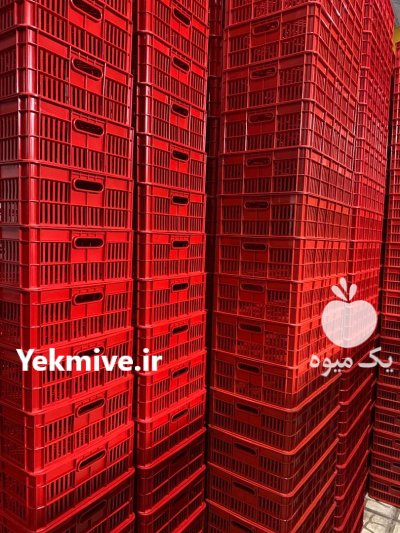 سبد خرمایی لبنیاتی سبک با ظرفیت در تهران در گروه خرید و فروش انواع سبد در یکمیوه -عکس2