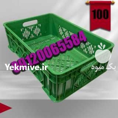 سبد پلاستیکی پروتئینی مقاوم سبد سردخانه در تهران در گروه خرید و فروش انواع سبد در یکمیوه -عکس1