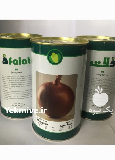 فروش بذر پیاز میگون در شیراز در گروه خرید و فروش بذر پیاز در یکمیوه -عکس1