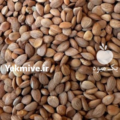 مغز بادام تلخ در شیراز در گروه خرید و فروش بادام در یکمیوه -عکس1