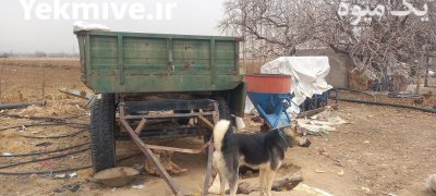 ادوات کشاورزی در قزوین در گروه خرید و فروش انواع ادوات کشاورزی در یکمیوه -عکس2