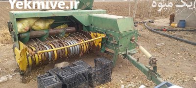 ادوات کشاورزی در قزوین در گروه خرید و فروش انواع ادوات کشاورزی در یکمیوه -عکس4