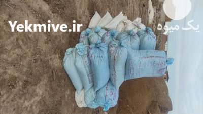 فروش انواع کود حیوانی گوسفندی گاوی در تبریز در گروه خرید و فروش کود گوسفندی در یکمیوه -عکس1