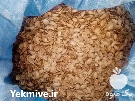 قیمت خرید عمده پوست پسته در رفسنجان در گروه خرید و فروش پسته در یکمیوه -عکس1