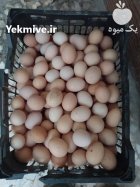 تخم مرغ بومی در اصفهان در گروه انواع تخم ها در یکمیوه