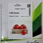 بذر گوجه فرنگی بریویو اصل در ایلام در گروه خرید و فروش بذر گوجه در یکمیوه