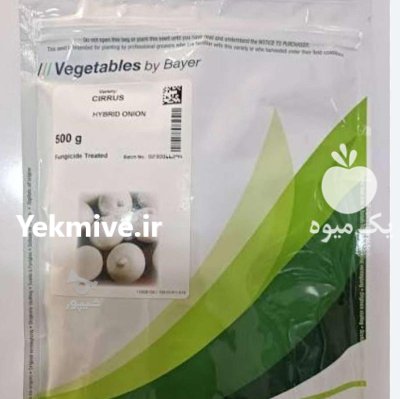 فروش بذر پیاز سایروس اصل در شیراز در گروه خرید و فروش بذر پیاز در یکمیوه -عکس1