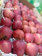 آگهی مشابه فروش سیب در شیراز در گروه خرید و فروش سیب در یکمیوه