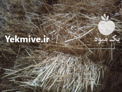 کاه پرس در اردبیل در گروه خوراک دام و طیور در یکمیوه -عکس1