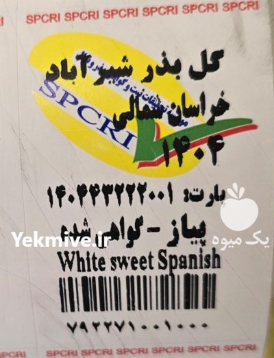 بذر پیاز شرکت گل بذر رقم در قهدریجان در گروه خرید و فروش بذر پیاز در یکمیوه -عکس3