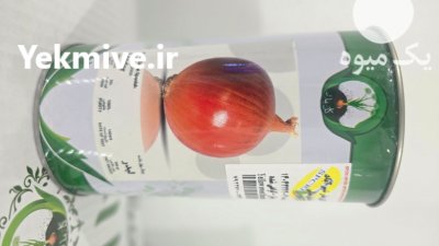 بذر پیاز شرکت گل بذر رقم در قهدریجان در گروه خرید و فروش بذر پیاز در یکمیوه -عکس4
