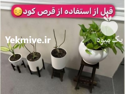 قرص کود آپارتمانی بدون بو در تهران در گروه خرید و فروش انواع کود کشاورزی در یکمیوه -عکس2