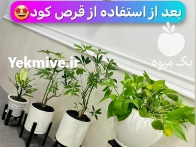 قرص کود آپارتمانی بدون بو در تهران در گروه خرید و فروش انواع کود کشاورزی در یکمیوه -عکس3