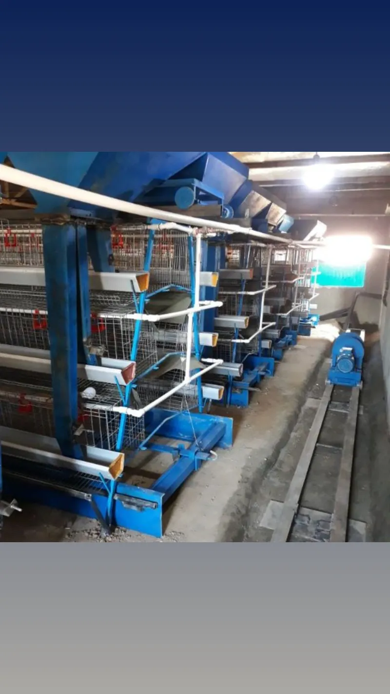 تجهیزات مرغداری در آبگرم در گروه تجهیزات مرغداری در یکمیوه -عکس1