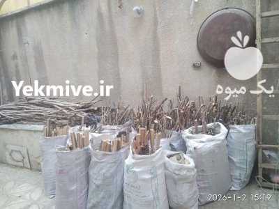 چوب خورده چوب در قزوین در گروه خرید و فروش انواع چوب در یکمیوه -عکس2