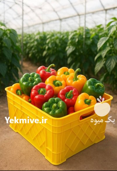 سبد فلفل دلمه ای در دهاقان در گروه خرید و فروش انواع سبد در یکمیوه -عکس2