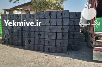 سبد 40 کیلویی ماهی باسکت ماهی در اهواز در گروه خرید و فروش انواع سبد در یکمیوه -عکس3