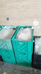 سبد 40 کیلویی ماهی باسکت ماهی در اهواز در گروه خرید و فروش انواع سبد در یکمیوه