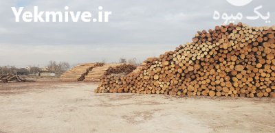 چوب کاج خشک درجه 1 در کرج در گروه خرید و فروش انواع چوب در یکمیوه -عکس2