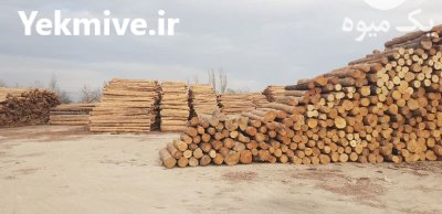چوب کاج خشک درجه 1 در کرج در گروه خرید و فروش انواع چوب در یکمیوه -عکس3