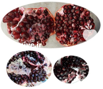 فروش نهال انار دانه سیاه شهرضا در اصفهان در گروه خرید و فروش نهال انار در یکمیوه -عکس4