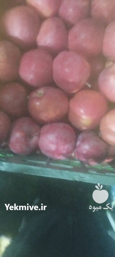 سیب درجه یک تمیز بدون لکه در اهر  در گروه خرید و فروش سیب در یکمیوه -عکس1