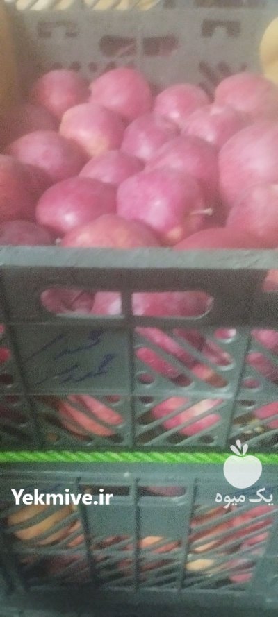 سیب درجه یک تمیز بدون لکه در اهر  در گروه خرید و فروش سیب در یکمیوه -عکس2
