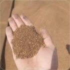 فروش کنجاله زیتون در زنجان در گروه خوراک دام و طیور در یکمیوه