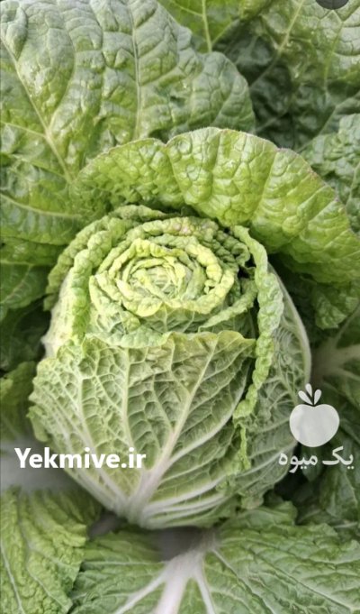 سفارشات انواع محصولات کشاورزی در اهواز در گروه خرید و فروش انواع سبزی ها در یکمیوه -عکس3