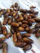 بلوط جنگلی تازه در املش در گیلان در گروه خرید و فروش میوه استوایی در یکمیوه