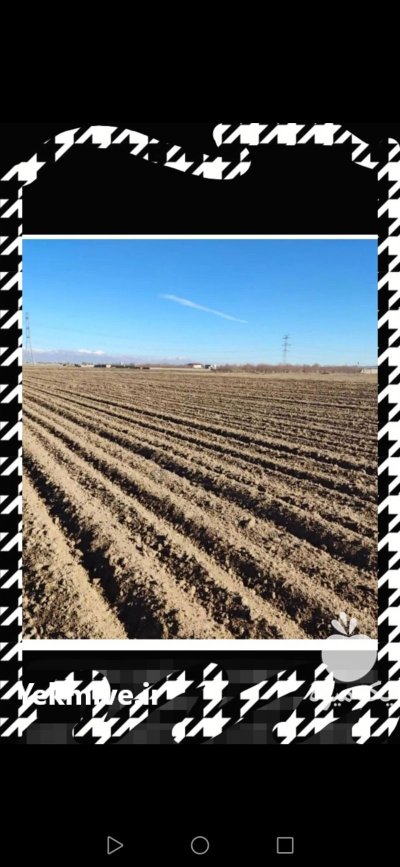 فروش زمین کشاورزی در تهران در گروه فروش ملک و زمین در یکمیوه -عکس1