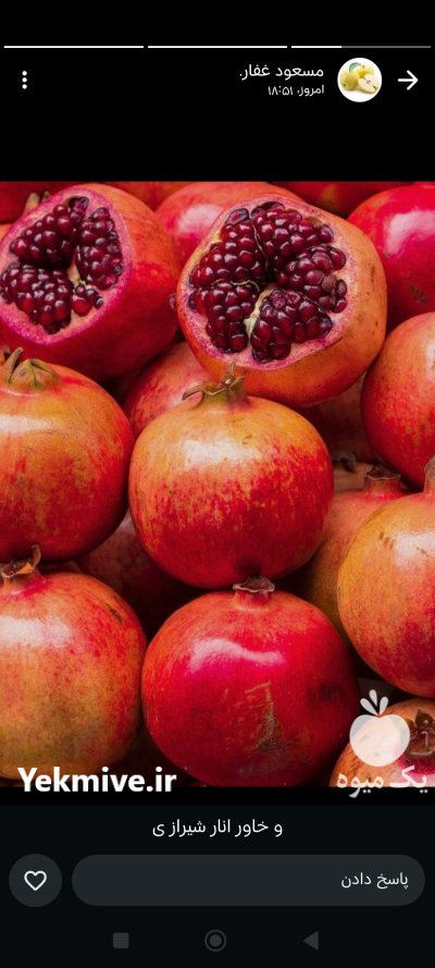 بار فروشی و حق العمل کاری در دزفول در گروه حق العمل کاری محصولات کشاورزی در یکمیوه -عکس1