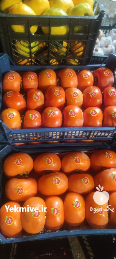 بار فروشی و حق العمل کاری در دزفول در گروه حق العمل کاری محصولات کشاورزی در یکمیوه -عکس2