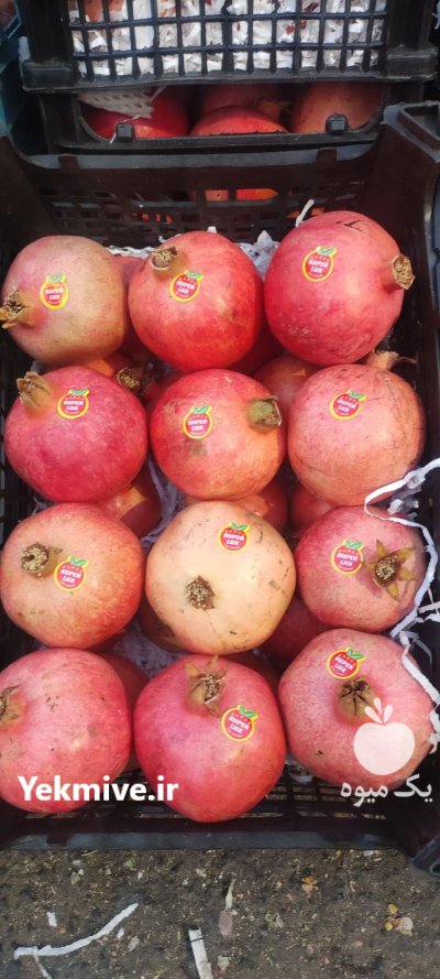 بار فروشی و حق العمل کاری در دزفول در گروه حق العمل کاری محصولات کشاورزی در یکمیوه -عکس3